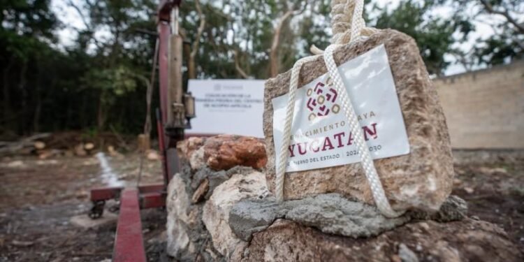 Tekax apuesta por la miel: construyen centro de acopio para productores del sur