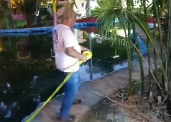 Encienden las alertas por amebas: ¿está presente la peligrosa comecerebros?
