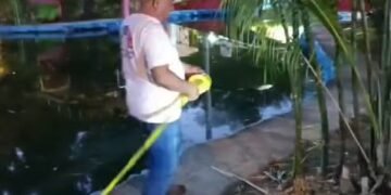 Encienden las alertas por amebas: ¿está presente la peligrosa comecerebros?