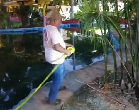 Encienden las alertas por amebas: ¿está presente la peligrosa comecerebros?