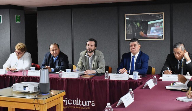 México y Centroamérica refuerzan combate al gusano barrenador; esto harán para frenarlo